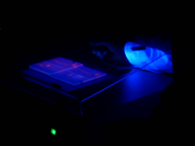 HPIM0314