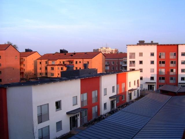 t1_view