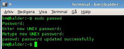 http://www.pererikstrandberg.se/blog/install_xubuntu/Screenshot_root_password.png