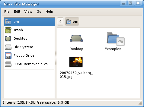 http://www.pererikstrandberg.se/blog/install_xubuntu710/screenshot017_window_settings.png